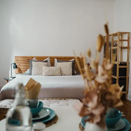 Ii Gemuetliches 1-zimmer-apartment & Eigenes Bad Ii Koblenc