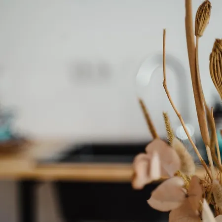 Ii Gemuetliches 1-zimmer-apartment & Eigenes Bad Ii Appartement