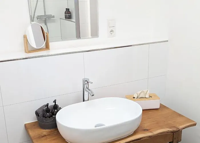 Apartman Ii Gemuetliches 1-zimmer-apartment & Eigenes Bad Ii Koblenz