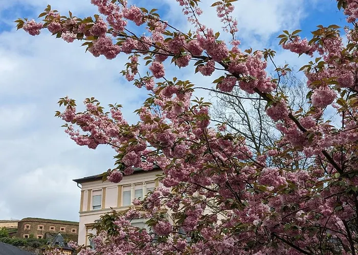 Ii Gemuetliches 1-zimmer-apartment & Eigenes Bad Ii Koblenz
