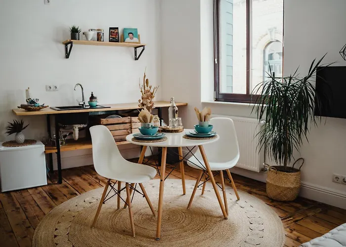 Apartman Ii Gemuetliches 1-zimmer-apartment & Eigenes Bad Ii Koblenz